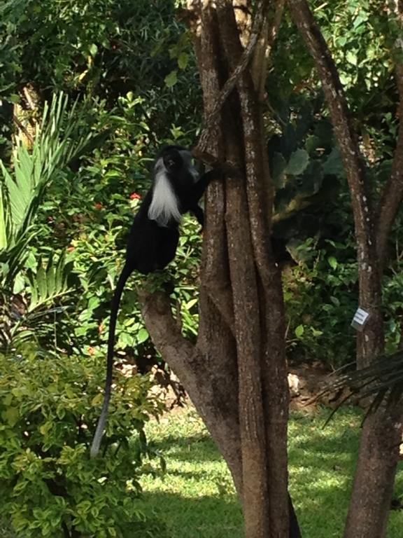 Marula Park Villa Diani Beach Bilik gambar